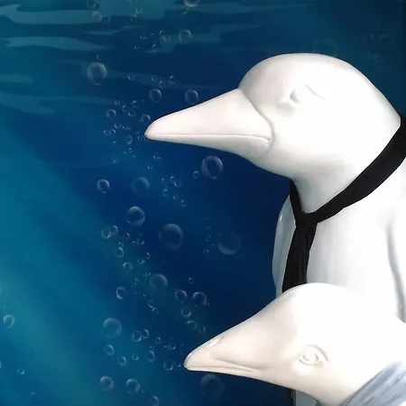 Hotell Western Aquakub 3*