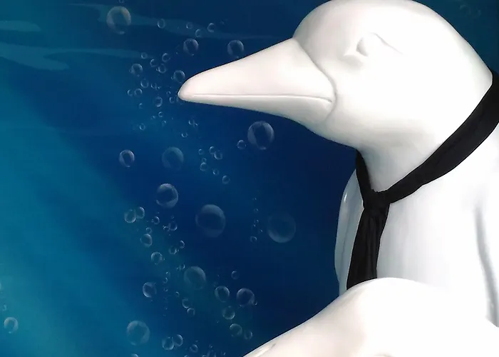 Hotell Western Aquakub 3*